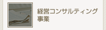 経営コンサルティング事業