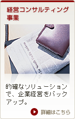 経営コンサルティング事業